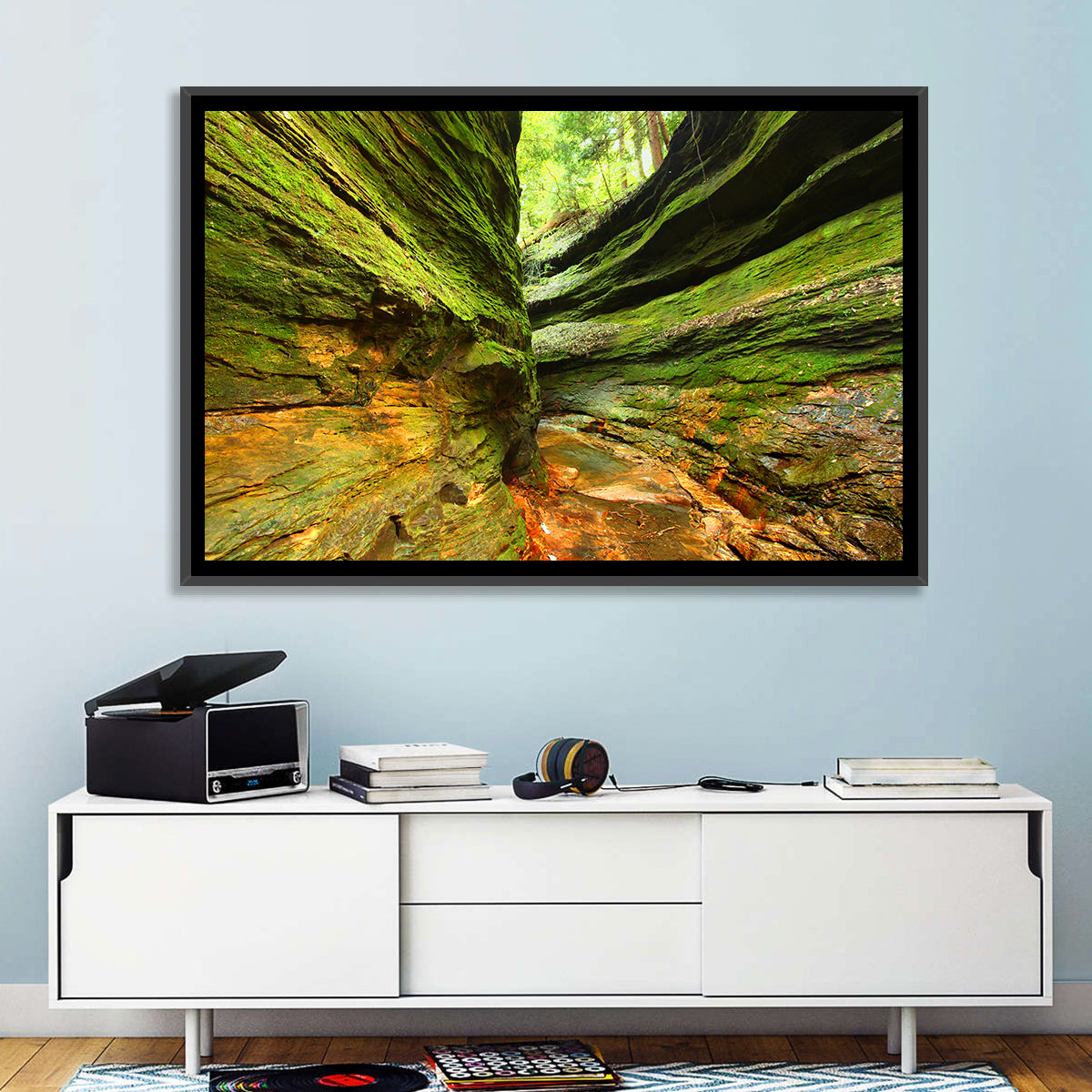 Turkey Run State Park Canyon Wall Art