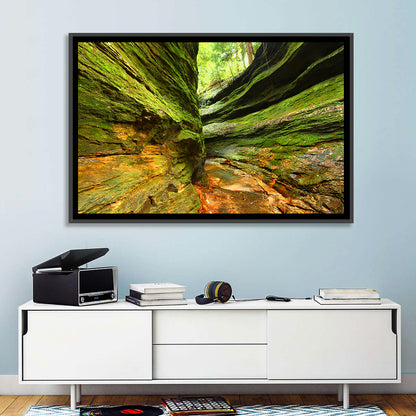 Turkey Run State Park Canyon Wall Art