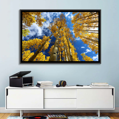Aspen Trees Wall Art