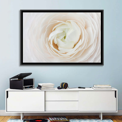 Peach Ranunculus Macro Bloom Wall Art