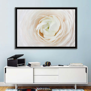 Peach Ranunculus Floral Wall Art