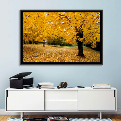 Baltimore Autumn Foliage Wall Art