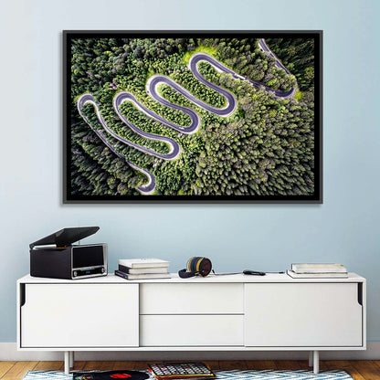 Serpentine Mountain Road Wall Art