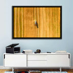Aerial Wheat Harvest Wall Art