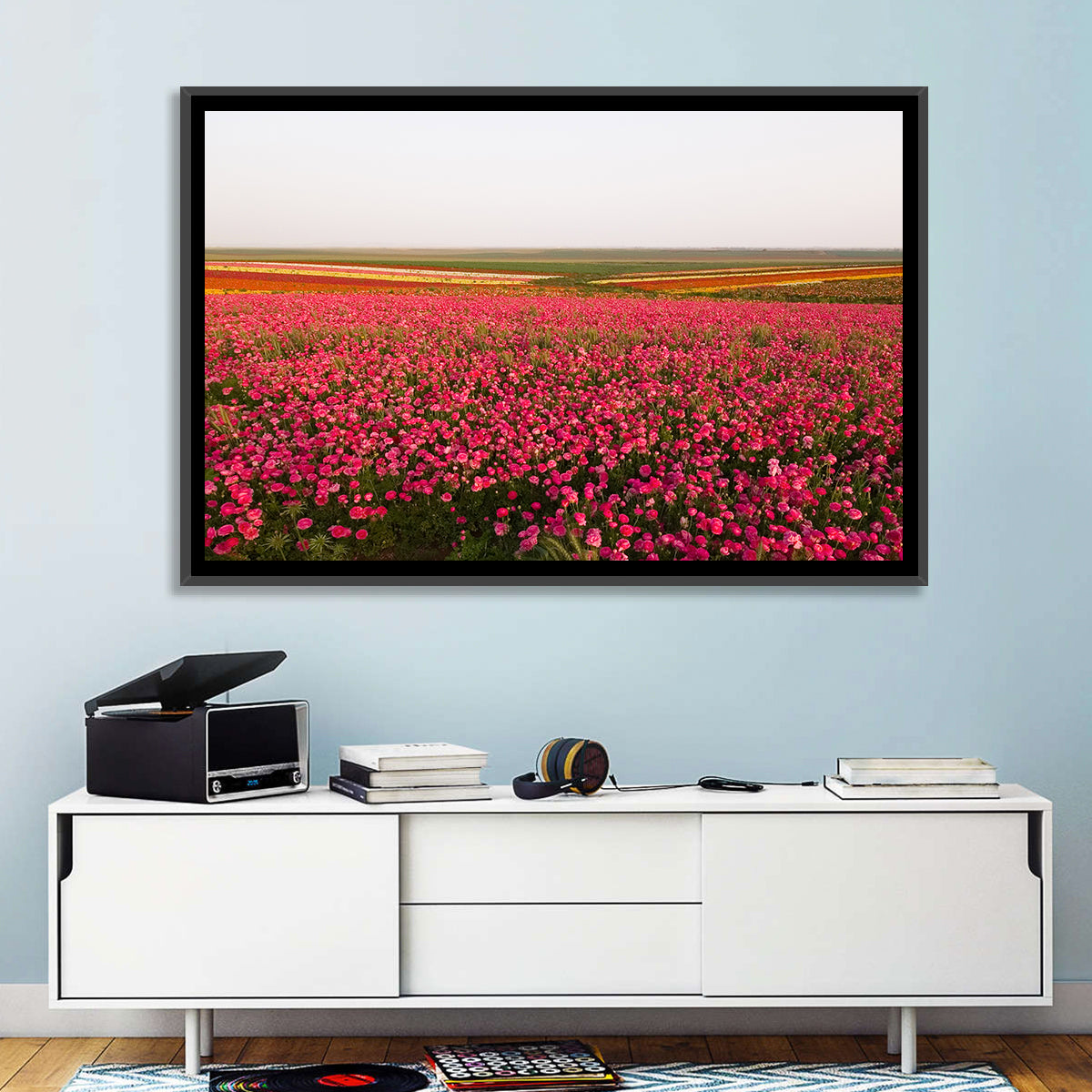 Pink Ranunculus Flower Field Wall Art in a room, landscape