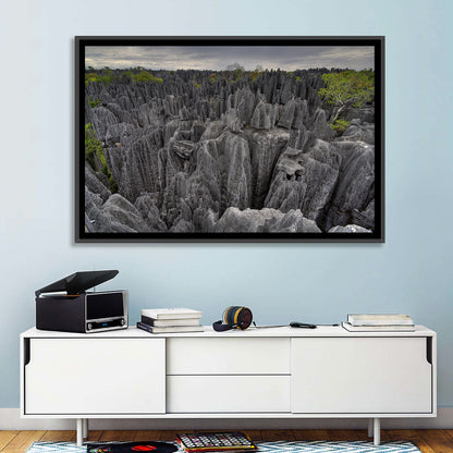 Tsingy De Bemaraha Pinnacles Wall Art