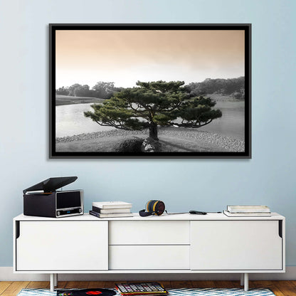 Bonsai Pine in Japanese Garden Wall Art