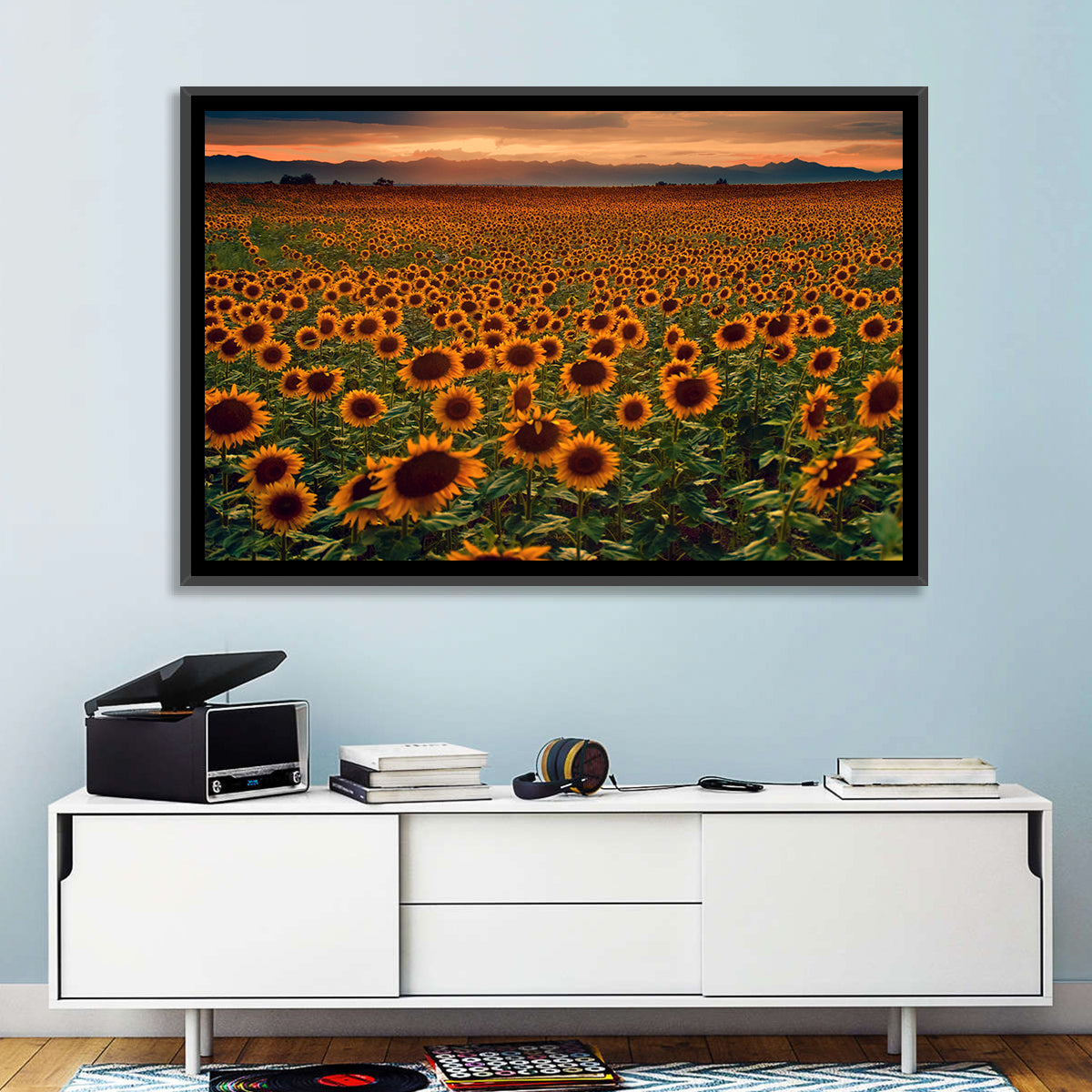 Colorado Sunflower Field at Sunset Wall Art