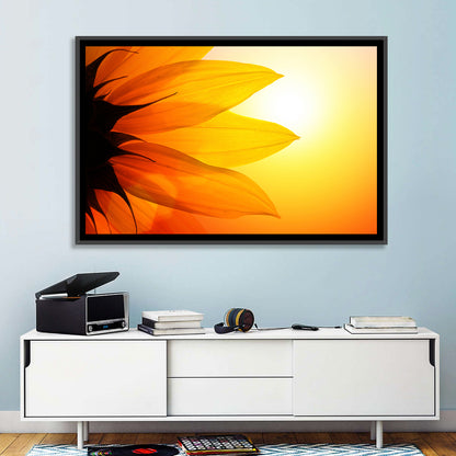 Backlit Sunflower Petals Wall Art