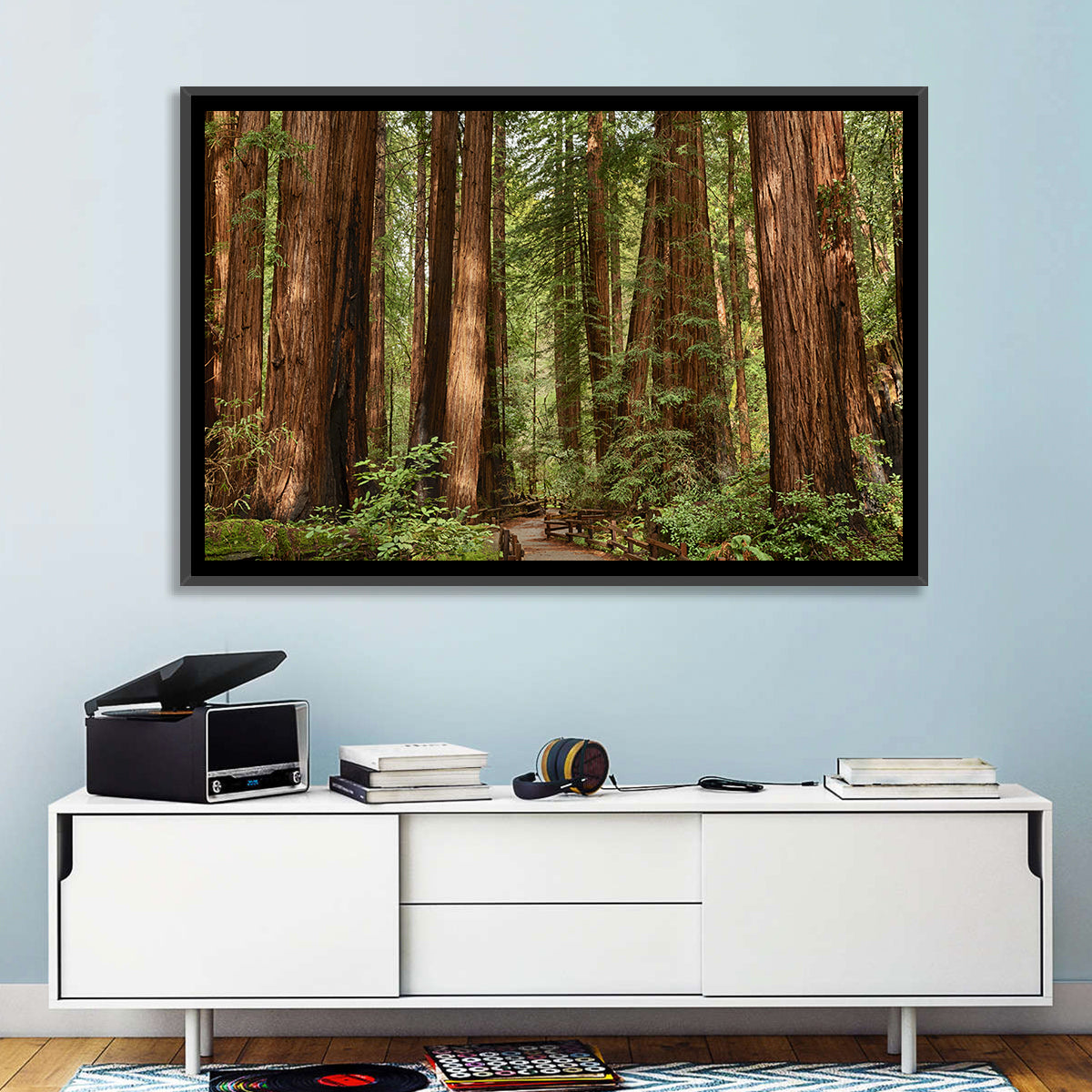 Muir Woods Redwood Trail Wall Art in a room, landscape