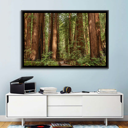 Muir Woods Redwood Trail Wall Art