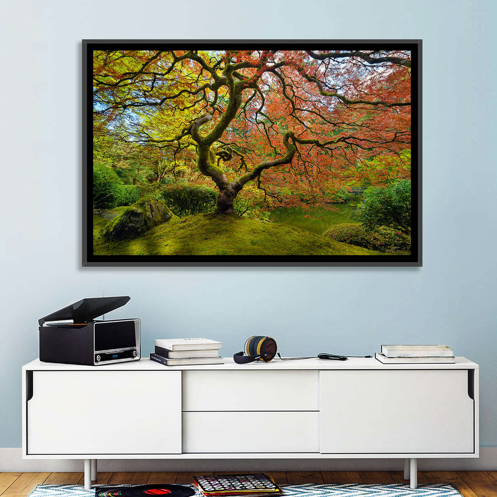 Gnarled Japanese Maple by Garden Pond Wall Art