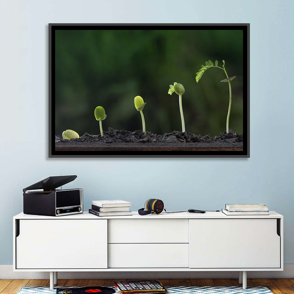 Five-stage Plant Growth Wall Art in a room, landscape