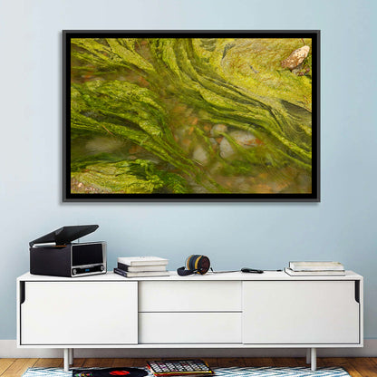 Macro Algae Stream Wall Art