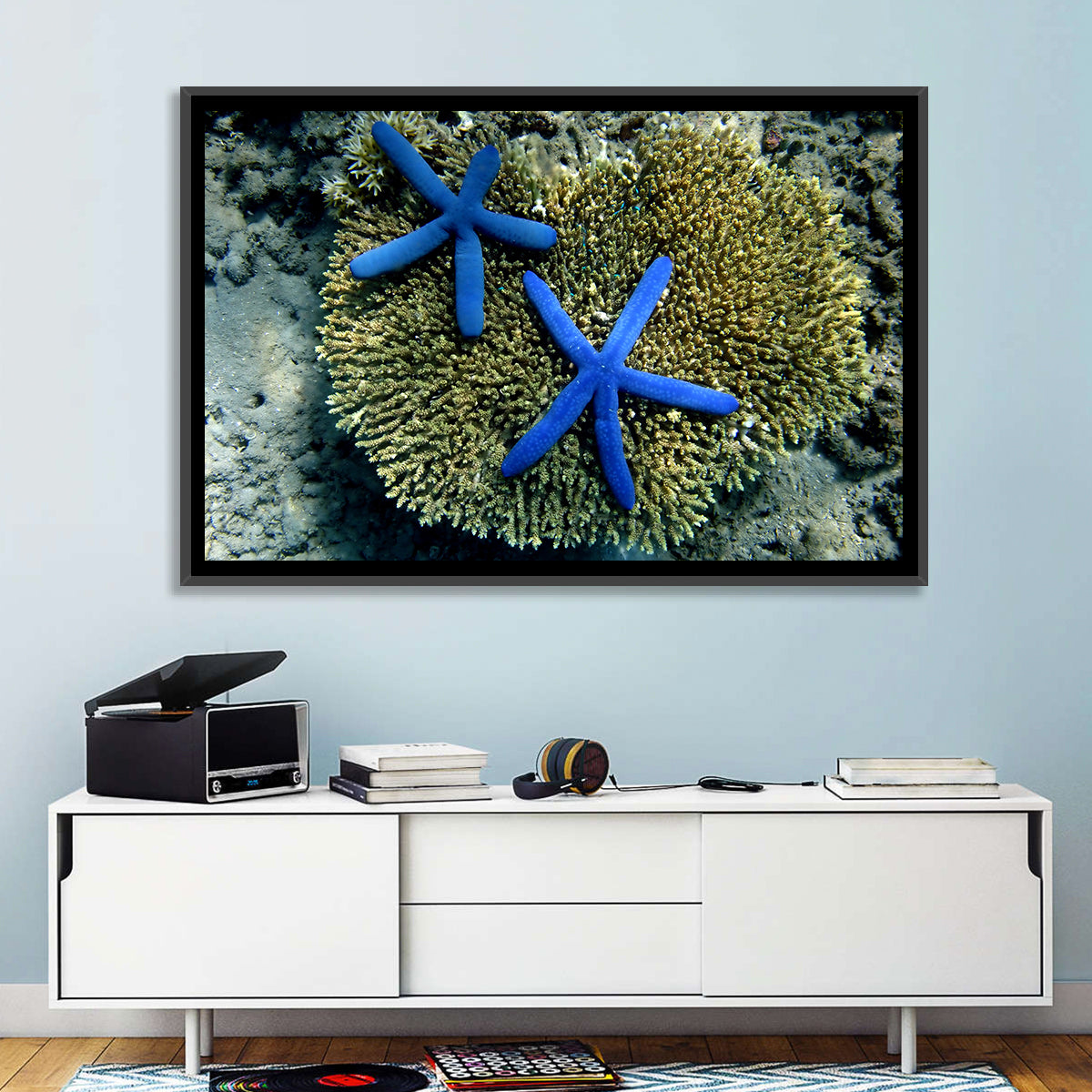 Blue Starfish Wall Art in a room, landscape