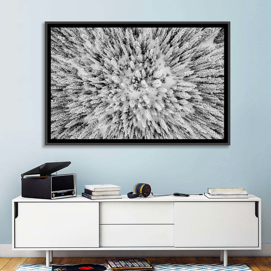 Snowy Aerial Forest Wall Art