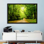 Sunlit Forest Pathway Wall Art