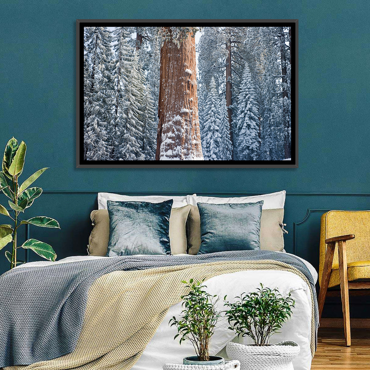Winter Giant Sequoia in Snowy Forest Wall Art in a room, landscape