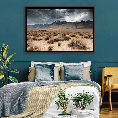 Storm Over Death Valley Wall Art