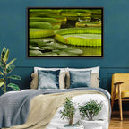 Giant Victoria Amazonica Lily Pads Wall Art