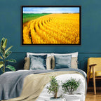 Summer Wheat Field with Curved Paths Wall Art