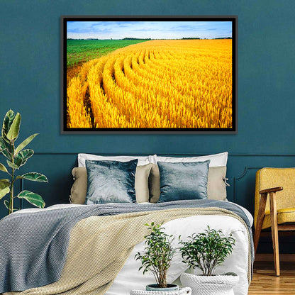 Summer Wheat Field with Curved Paths Wall Art