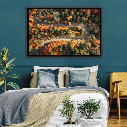 Aerial Winding Autumn Forest Road Wall Art
