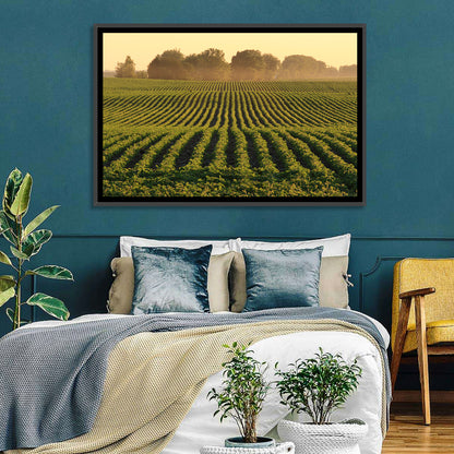 Misty Soybean Field at Dusk Wall Art