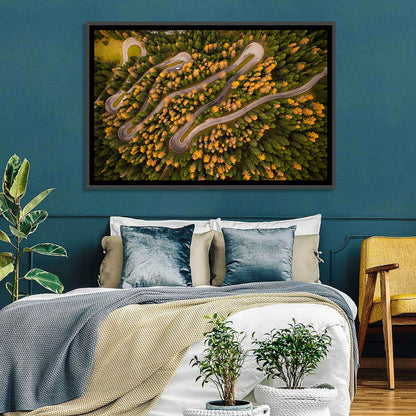 Aerial Curvy Forest Road Wall Art