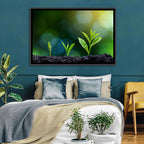 Seedling Growth Stages Wall Art