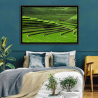 Lush Rice Terraces Wall Art