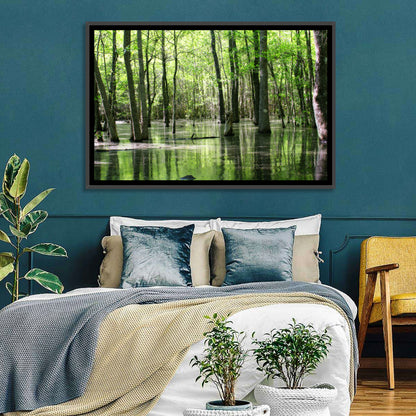 Sunlit Swamp Forest Wall Art