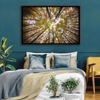 Autumn Forest Canopy Looking Up Wall Art