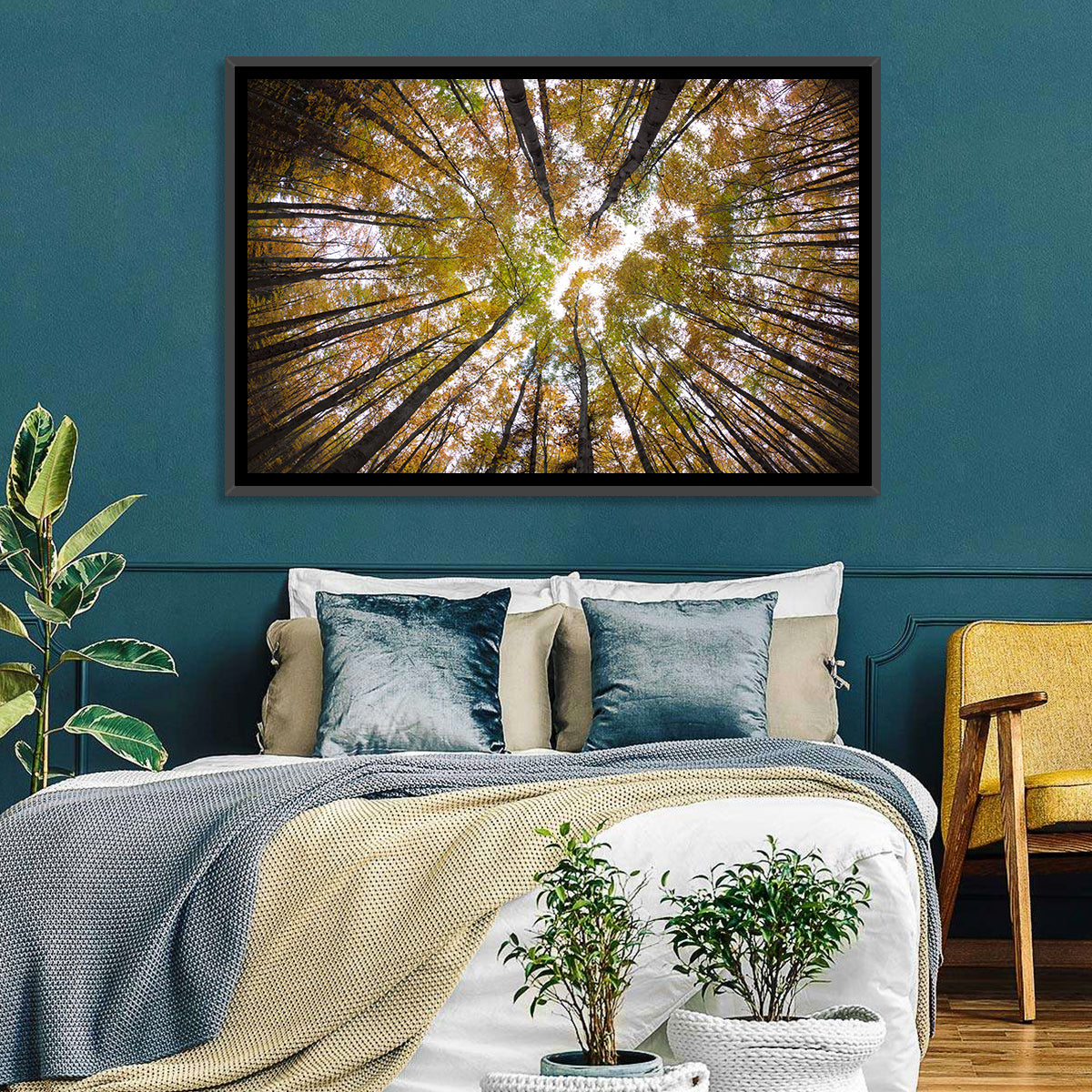 Autumn Forest Canopy Looking Up Wall Art