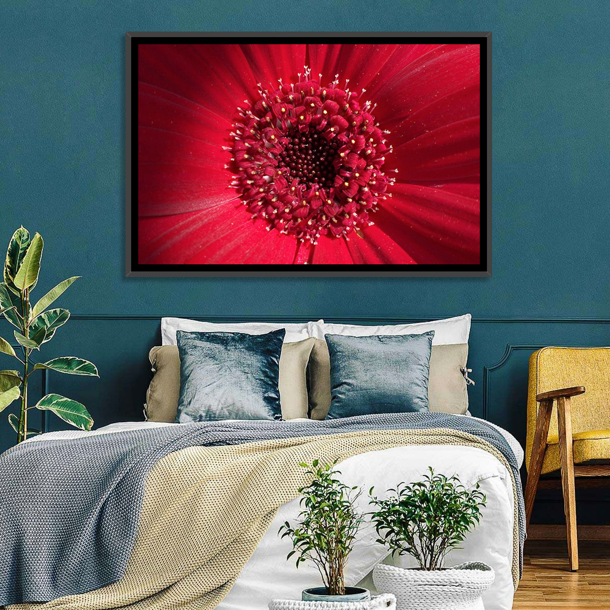 Red Gerbera Daisy Macro Close Up Wall Art in a room, landscape