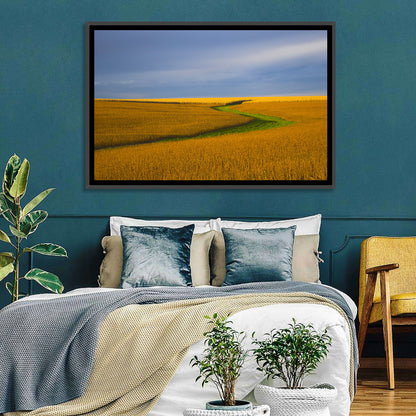 Golden Hour Soybean Field Wall Art