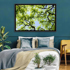 Sunlit Tree Canopy Wall Art