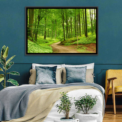 Sunlit Forest Path Wall Art