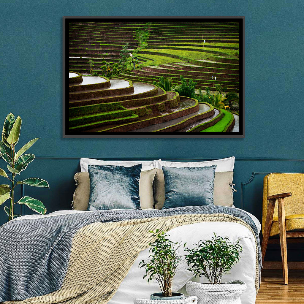 Lush Rice Terraces Wall Art