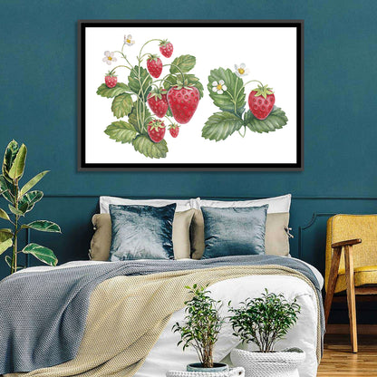 Fresh Strawberry Botanical Illustration Wall Art