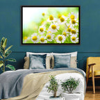 Chamomile Close-up Wall Art