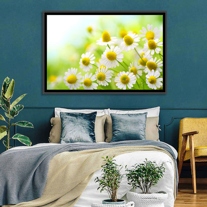 Chamomile Close-up Wall Art