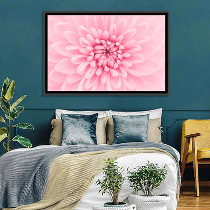 Pink Chrysanthemum Close-up Wall Art