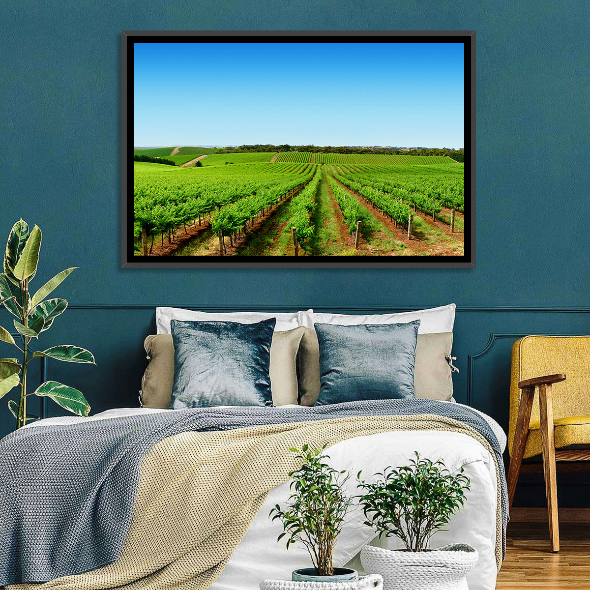 Sunlit Vineyard Rows Wall Art