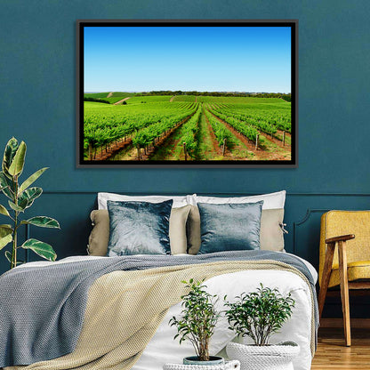 Sunlit Vineyard Rows Wall Art