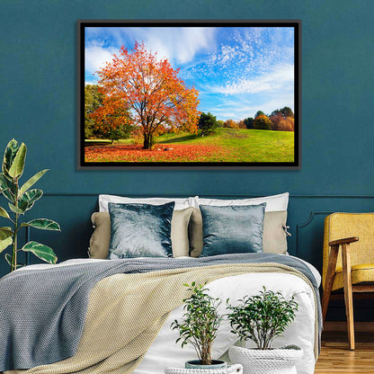 Orange Maple on Rolling Hill Wall Art