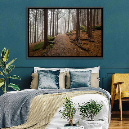Misty Appalachian Trail Path Wall Art