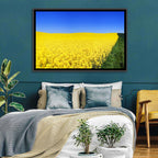 Sunlit Rapeseed Field Wall Art