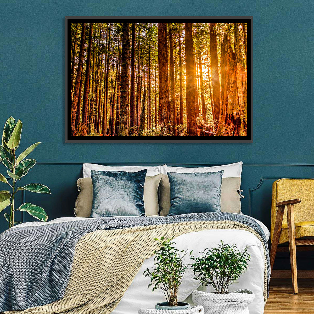 Golden Hour Redwood Sunburst Wall Art in a room, landscape