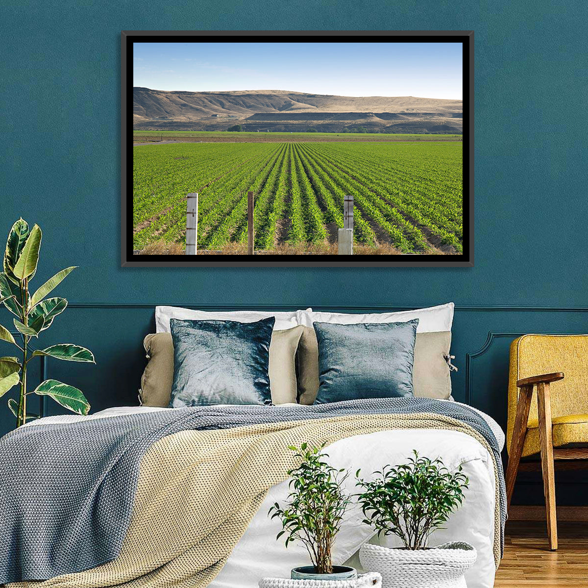 Idaho Corn Field Wall Art in a room, landscape